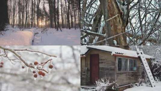 东北雪景高清在线视频素材下载