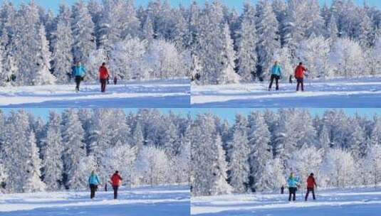 冬天大自然户外雪地上 散步滑雪的人物特写高清在线视频素材下载