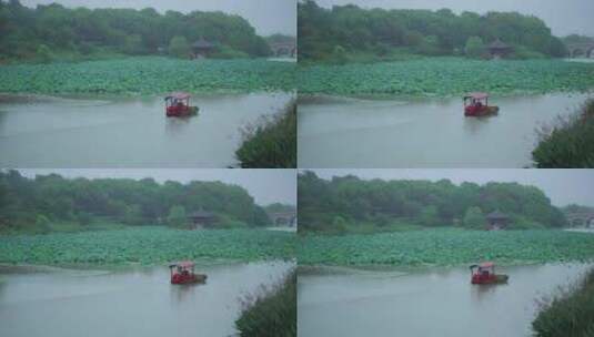 雨天西湖中划船高清在线视频素材下载