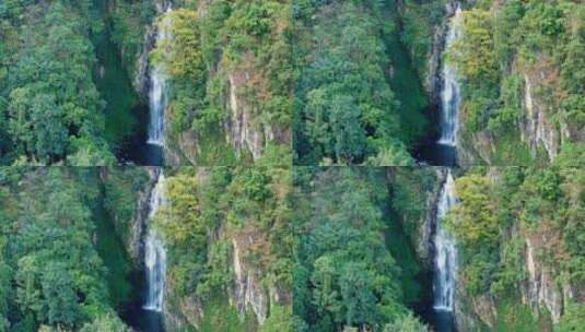 森林中的瀑布高清在线视频素材下载