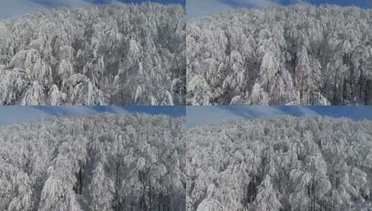 冬天下雪航拍雪山林海雾凇高清在线视频素材下载