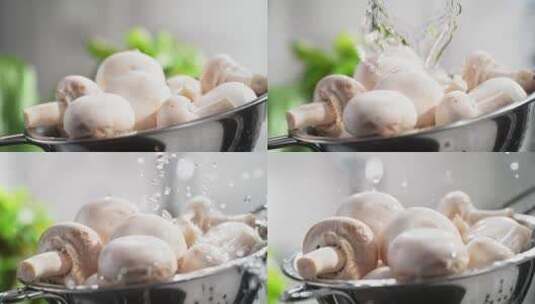 清洗盆中的白蘑菇特写高清在线视频素材下载