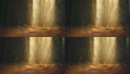 树林中唯美光影慢镜头高清在线视频素材下载