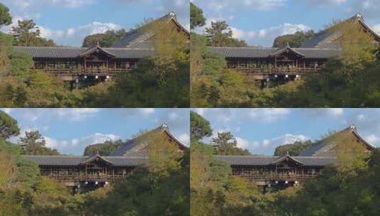 德富士神社的津天桥。日本京都。缩小拍摄高清在线视频素材下载