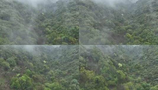 烟雨云雾缥缈的大山高清在线视频素材下载