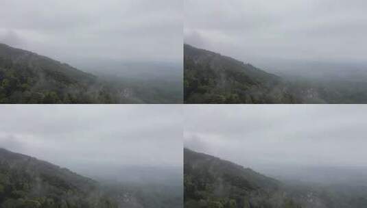 雅安名山区雨中蒙顶山 (6)高清在线视频素材下载