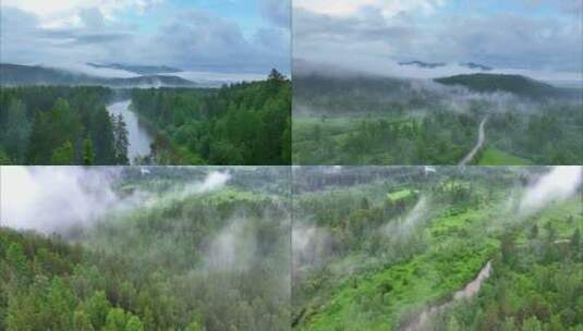 绿色森林云雾河流雾气天然氧吧高清在线视频素材下载