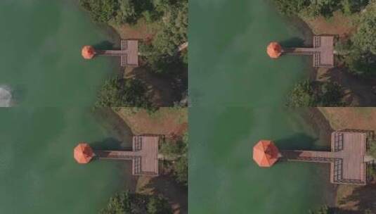湖水中树冠的鸟瞰图高清在线视频素材下载