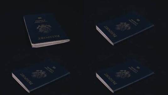 转动着的护照高清在线视频素材下载
