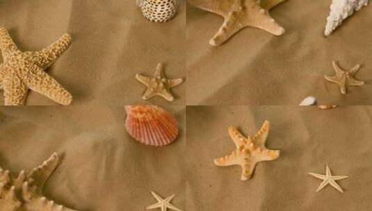 沙滩上的海星和海螺高清在线视频素材下载