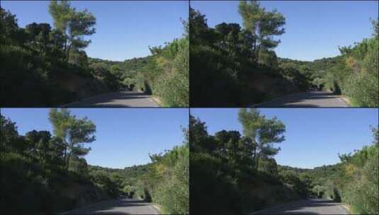 林地里的公路景观高清在线视频素材下载
