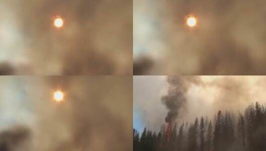 消防员灭森林大火高清在线视频素材下载