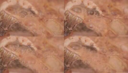 腐乳炖鱼腐乳烧鱼块高清在线视频素材下载