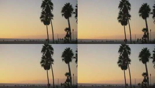 日落时的威尼斯海滩棕榈树高清在线视频素材下载