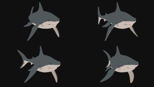 鲨鱼 大白鲨 食人鲨 鲨 凶猛鲨鱼动画高清在线视频素材下载
