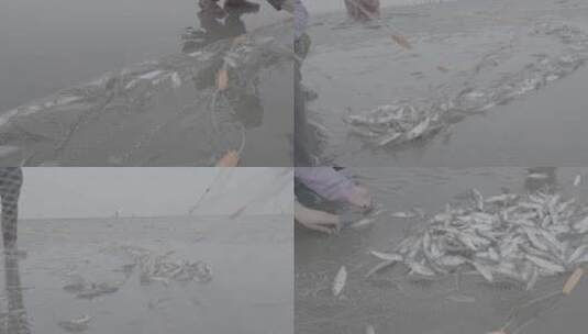 海南雷州半岛捕鱼收鱼1高清在线视频素材下载