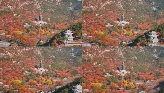 青岛崂山青岛秋景青岛太清宫航拍高清在线视频素材下载