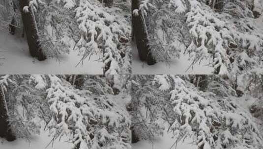 贺兰山金顶雪景视频 (35)高清在线视频素材下载