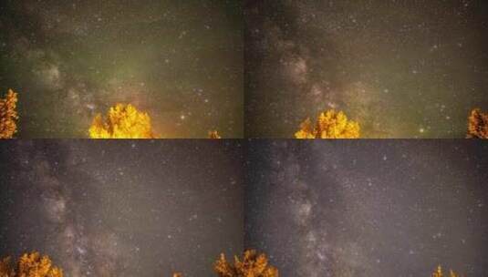 森林前景星空延时摄影高清在线视频素材下载