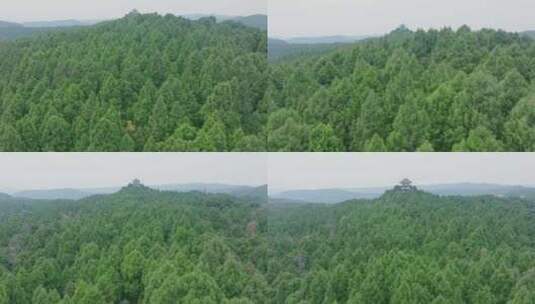 航拍翠云廊森林山林风景高清在线视频素材下载