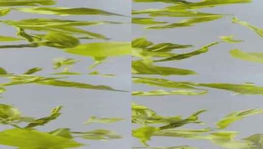 茶叶在水中旋转高帧率慢动作高清在线视频素材下载