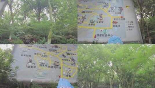 杭州动物园大门口树林和介绍牌高清在线视频素材下载