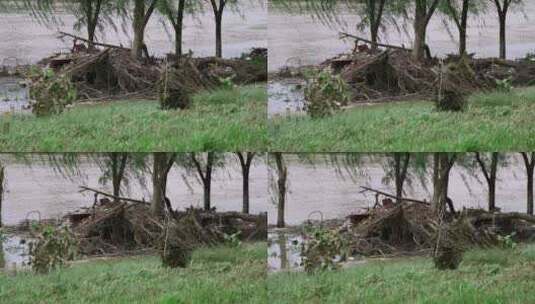 洪水退去的河岸边4K120帧升格视频高清在线视频素材下载