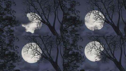 晚上月亮和乌云延时高清在线视频素材下载