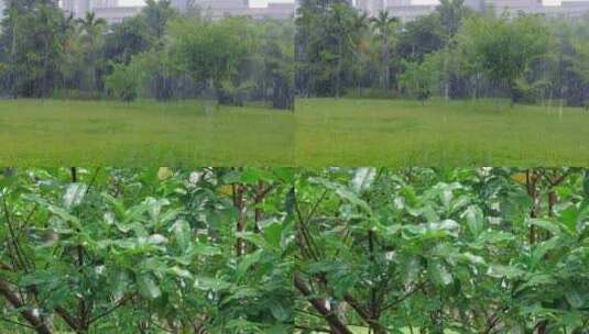 户外下雨视频高清在线视频素材下载