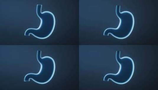 透明生物医学胃部器官循环动画三维渲染高清在线视频素材下载