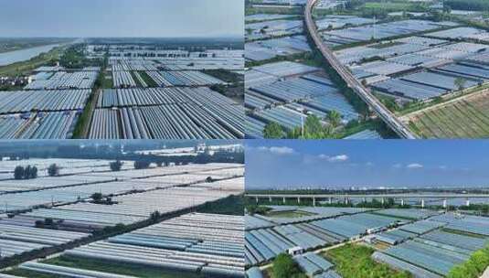 空中俯瞰温室大棚高清在线视频素材下载