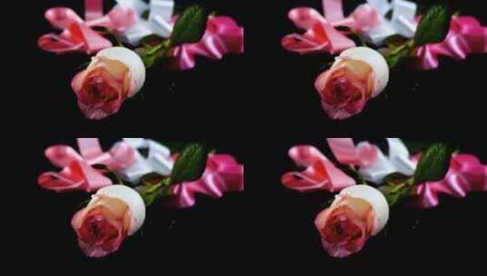 3631_一朵花和丝带的浪漫组成高清在线视频素材下载