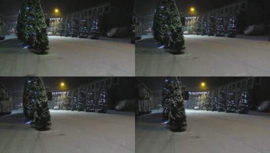 街上载满了圣诞树高清在线视频素材下载