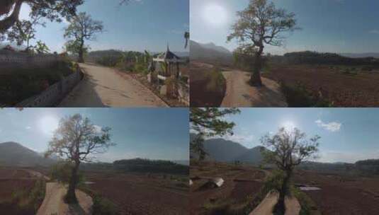 4k田野小路视频云南德宏傣族农村树木高清在线视频素材下载