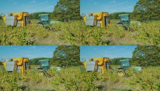 收割机在农场收获葡萄高清在线视频素材下载