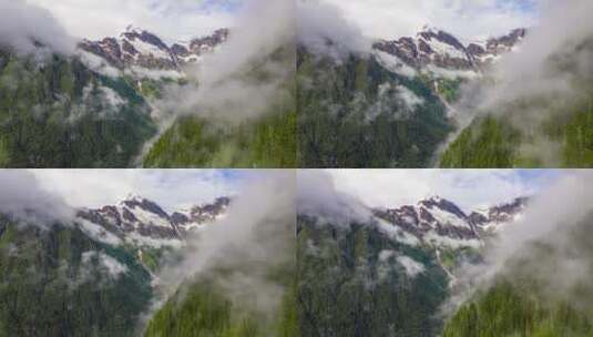 藏区雪山下的原始森林云雾高清在线视频素材下载