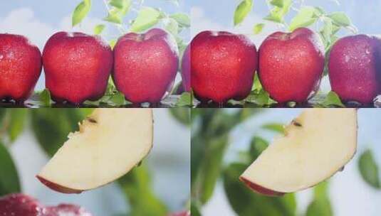 天水花牛苹果高清在线视频素材下载