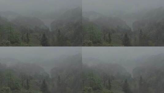 旅游景区 安徽黄山山顶 春季 中雨  雨景高清在线视频素材下载
