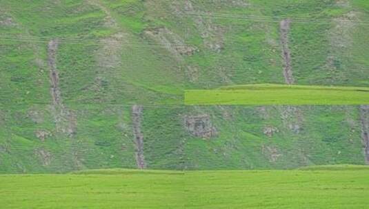 西藏那曲草原高清在线视频素材下载