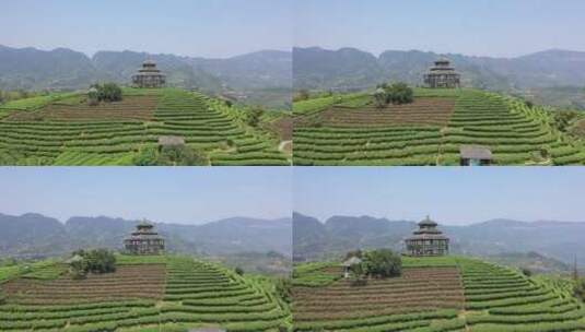 航拍三江布央茶山景区高清在线视频素材下载