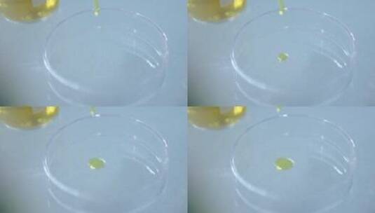 溶液滴入到实验室培养皿中的特写镜头高清在线视频素材下载