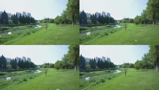 武汉青山区武丰闸湿地公园高清在线视频素材下载