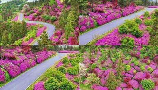 治愈风景，治愈系风景，天然氧吧，拥抱自然高清在线视频素材下载