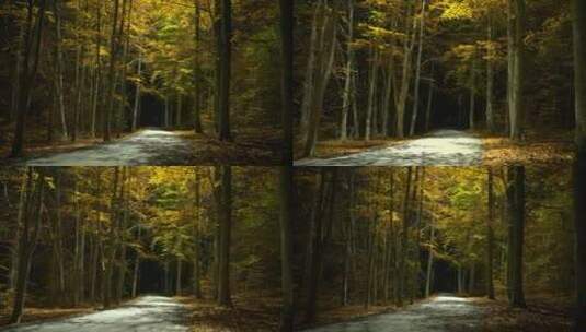 林间小路光影流动合成素材高清在线视频素材下载