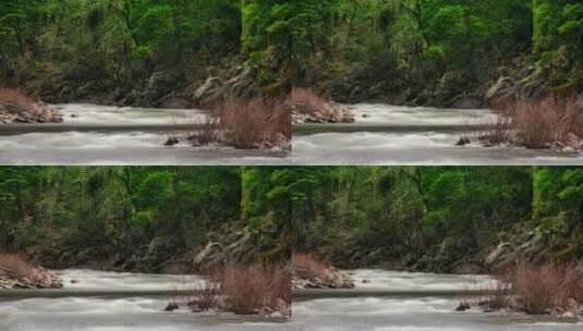 森林河流的延时拍摄景观高清在线视频素材下载