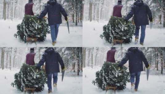 下雪天两个男人拉着圣诞树在雪地里行走高清在线视频素材下载