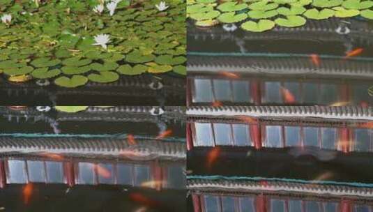 丽江古城的万古楼高清在线视频素材下载