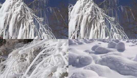 雪压树枝高清在线视频素材下载