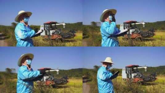 收割稻田8高清在线视频素材下载