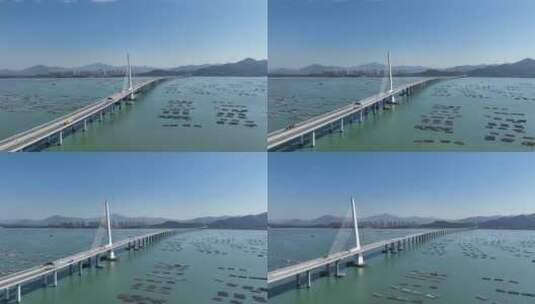 深圳湾大桥海域高清在线视频素材下载